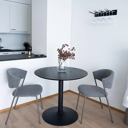 Cozy With Sauna In The Center - Lapnest *